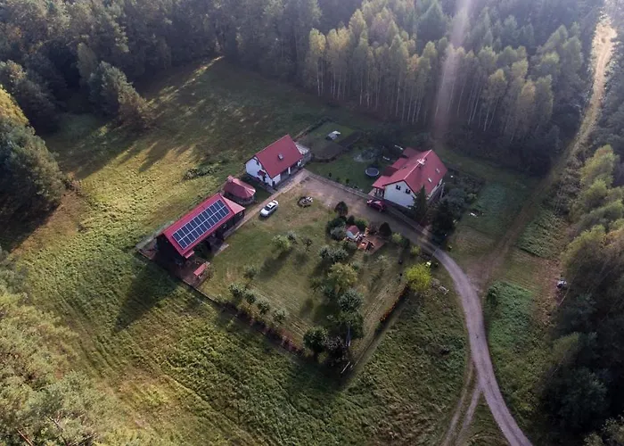 Pokoje W Lesie